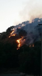 Montepaone – Incendio minaccia il Villaggio Calaghena