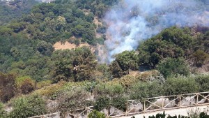 Incendio al Parco della Biodiversità, nota del presidente della Provincia di Catanzaro, Bruno