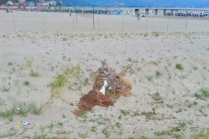 FOTO NEWS | Soverato – Degrado e rifiuti sulla spiaggia libera