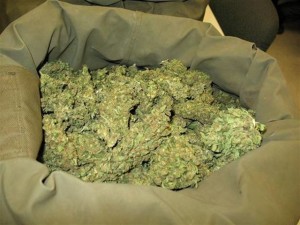 marijuana-sacco