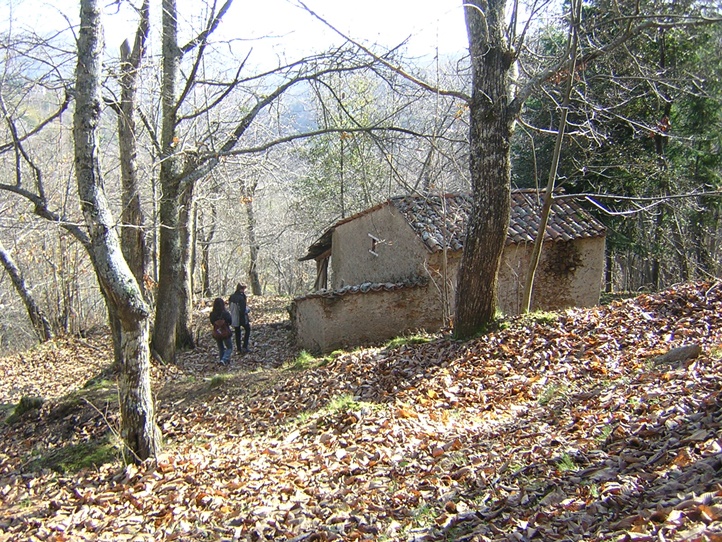 La casella - il tradizionale  essiccatoio in un castagneto di Serrastretta