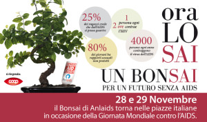 Il 28 e il 29 novembre tornano i Bonsai di ANLAIDS. Banchetti a Chiaravalle, Soverato e Guardavalle