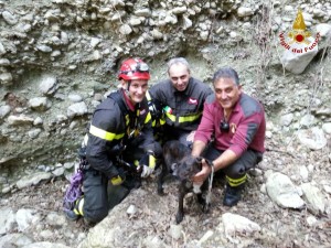 Recuperato un cane dai Vigili del fuoco nel catanzarese