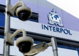 Europol ed Interpol: sequestro record di cibo “adulterato”