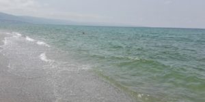 Balneazione – Acqua verdastra sulla costa di Pizzo. E’ fioritura algale