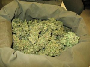 Nascondevano 800 grammi di marijuana sotto il sedile, arrestati