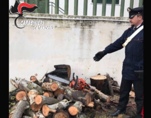Furto di legname nel catanzarese, 3 arresti dei carabinieri