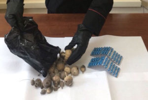 Davoli – Bulbi di papavero da oppio e farmaci vietati, 2 arresti