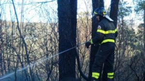 Campagna lotta incendi boschivi: la Regione Calabria sembra latitante.