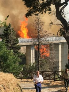 Vasto incendio nella zona nord di Catanzaro, lambisce anche il Parco della Biodiversità