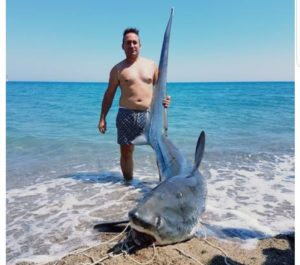 Pescato uno squalo volpe nel mar Jonio