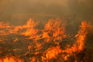 Prova ad appiccare un incendio a Catanzaro, 33enne ai domiciliari