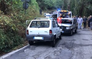 Coldiretti Calabria – Emergenza cinghiali, dipartimento agricoltura proceda a rimborsare danni subiti
