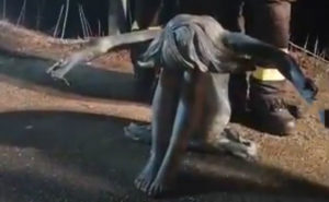 Statua in bronzo riemerge dal lago Angitola in secca, recuperata