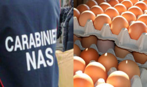 Uova fresche contaminate, scatta il ritiro del Ministero della Salute. Provengono dalla Calabria