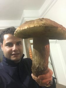 Trovato nei boschi un fungo porcino di oltre un chilo