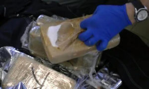 Sequestrati 308 kg di cocaina purissima nel porto di Gioia Tauro