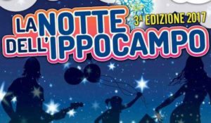 L’Associazione Commercianti Soverato presenta la seconda edizione di Miss Notte Ippocampo