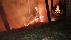 Incendio nella pineta di Siano e auto in fiamme nella notte a Catanzaro