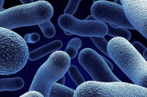 Resistenza agli antibiotici dei batteri: “rubano” il DNA