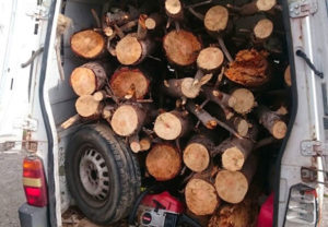Borgia – Sorpreso mentre ruba legna in pineta, 52enne arrestato