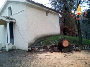 Maltempo – Caduta alberi e coperture pericolanti per il forte vento nel catanzarese