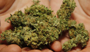 Montepaone – Nascondeva marijuana nel bidet, 34enne arrestato