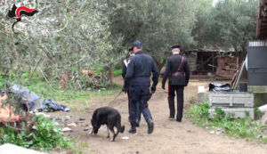 ‘Ndrangheta – Blitz dei carabinieri, disarticolato il clan dei Soriano