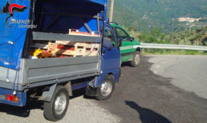 Controlli sui veicoli per trasporto alimenti, multe per 18000 euro