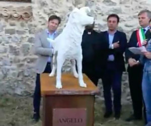 Cane seviziato e ucciso, inaugurata a Montepaone statua in ricordo di Angelo