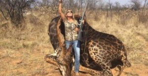 Giraffa uccisa per una foto ricordo. Orrore e indignazione su Facebook