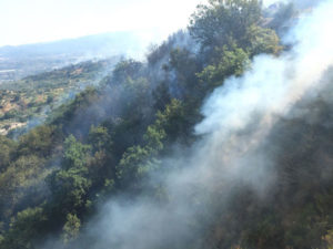 Incendio boschivo tra Montauro e Gasperina, in azione vigili del fuoco ed elicotteri