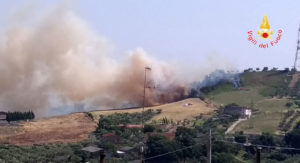Vasto incendio distrugge arbusti e macchia mediterranea