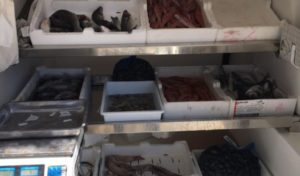 Cinque kg di pesce avariato al supermercato, scatta il sequestro e la sanzione al titolare