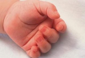 Orrore, un roditore divora la mano di una bimba di circa due mesi