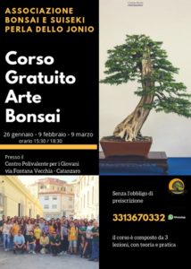 A Catanzaro la seconda edizione del corso gratuito “Arte Bonsai”
