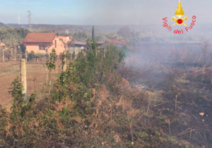 In fiamme macchia mediterranea vicino centro abitato a Girifalco