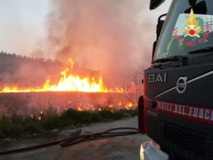 Incendio di arbusti e macchia mediterranea, nessun danno a persone