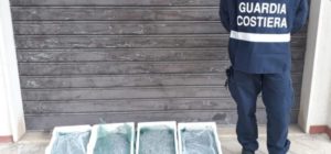Sequestrati dall’Ufficio Circondariale Marittimo di Soverato 20 kg di novellame e sanzione di 5000 euro