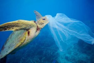 Depositata istanza per l’abolizione della plastica nel Comune di Catanzaro