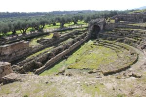 Al Parco Archeologico Nazionale di Scolacium la giornata nazionale della cultura del vino e dell’olio