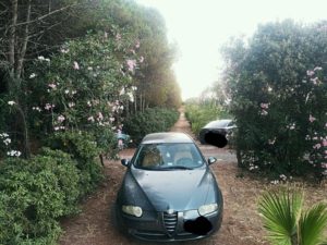 FOTO NEWS | Soverato – Parcheggi selvaggi nella pineta