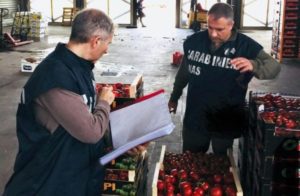 Quasi 2 tonnellate di frutta sequestrate dai Nas di Catanzaro in un mercato ortofrutticolo