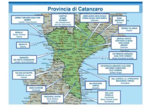 ‘Ndrangheta – La mappa dei clan nel catanzarese, ecco chi comanda secondo la Dia