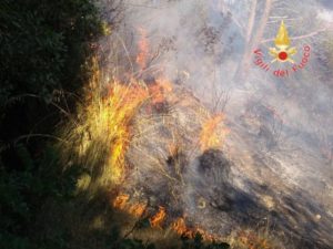 Lotta agli incendi boschivi, 36 interventi dei vigili del fuoco