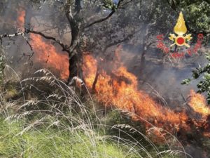 Terreni incolti e macchia mediterranea in fiamme nel catanzarese