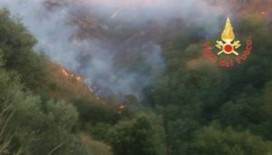 Incendio di vaste proporzioni di macchia mediterranea a Stalettì, interviene anche un Canadair