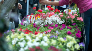 “Basta speculazioni su vendita fiori”. Gli abusivi la fanno da padrone nel triste degrado dei cimiteri calabresi