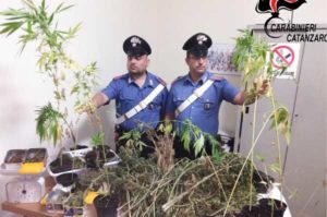 Controlli dei carabinieri, 15enne trovato con marijuana in casa a Vallefiorita