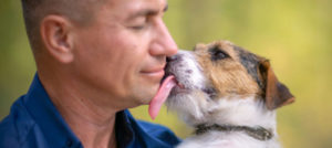 Si fa leccare dal cane, 63enne contrae una rara infezione e muore nel giro di un paio di settimane.